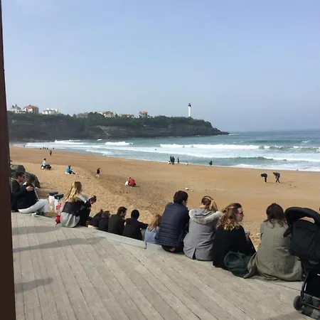 Chambre D'amour, App T2 Recent, Classe 4 Et, Jardin Et Parking Prive A 100 M Des Plages *
